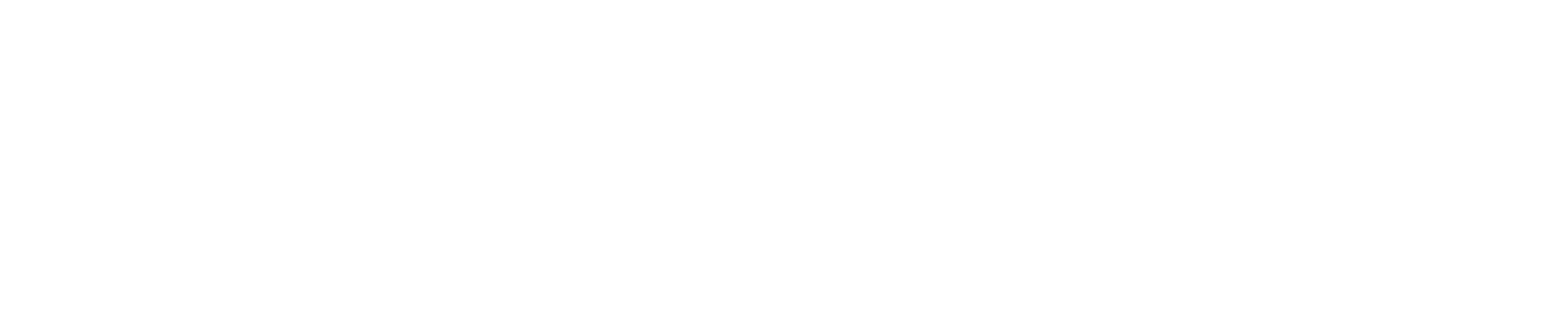 Zeus-Logo-White White Zeus Logo